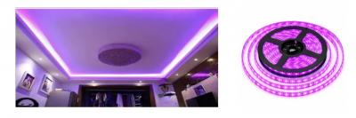 VIOLET LED STRIP COB 10W INFINITE CUTTING POINT